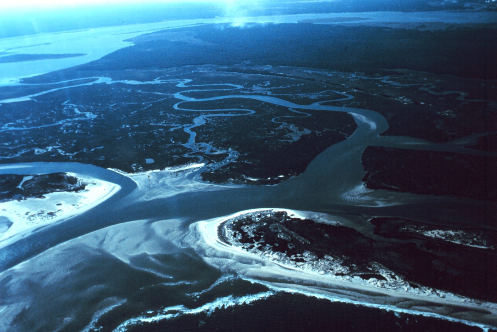 Tidal creeks at Winyah Bay from the air